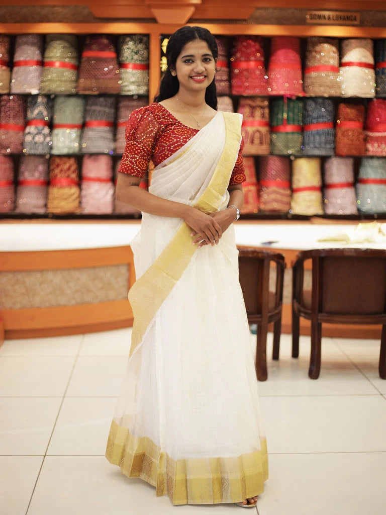 Traditional Organza Dhawani Set (3pcs Set) - D101