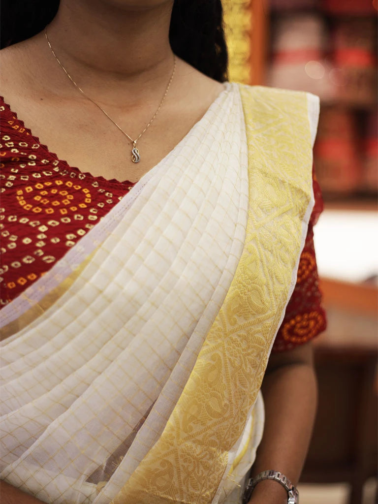 Traditional Organza Dhawani Set (3pcs Set) - D101