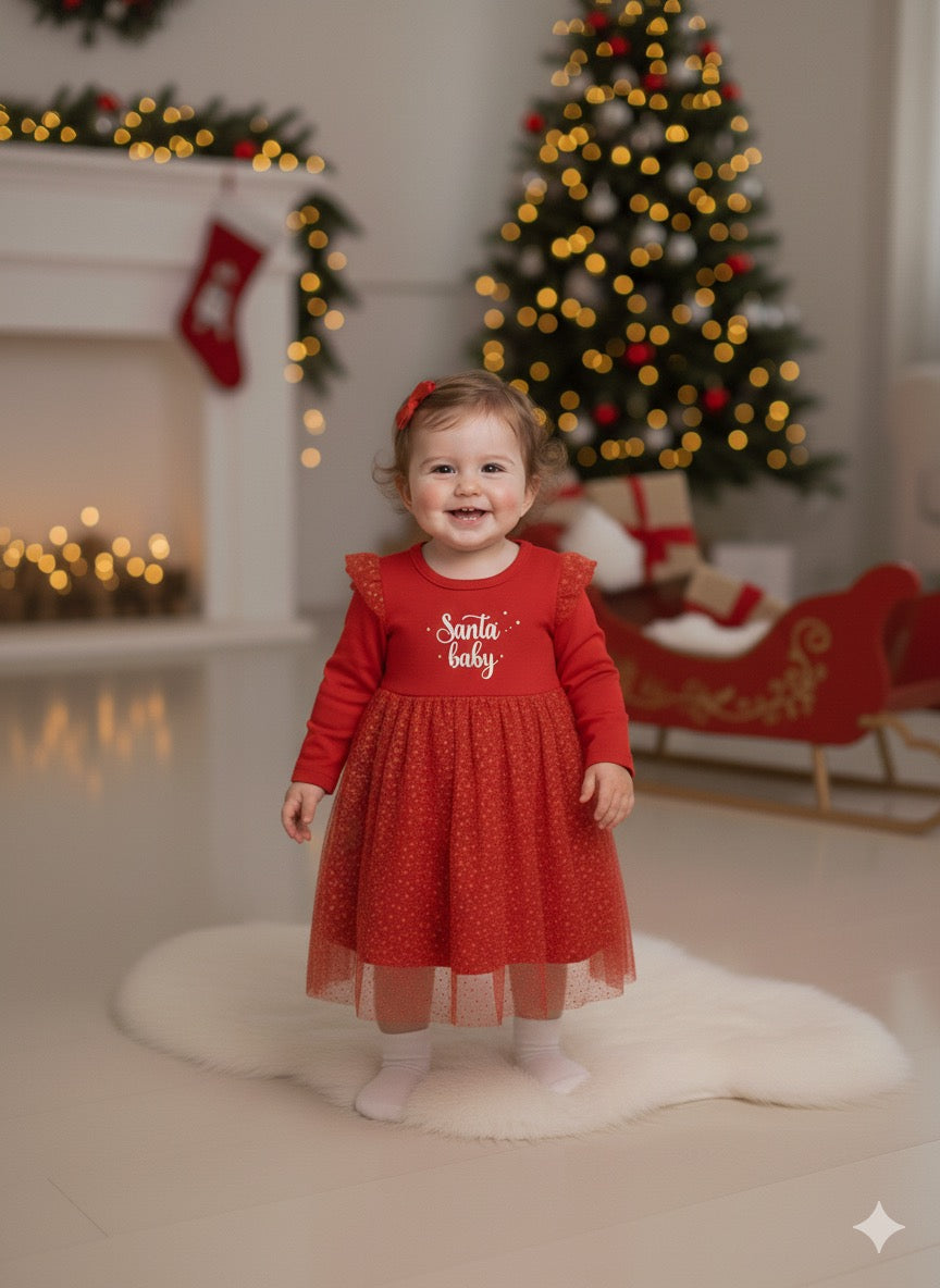 Christmas Celebration Santa Baby Dress - R534/2