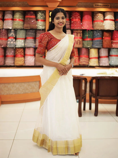 Traditional Organza Dhawani Set (3pcs Set) - D101